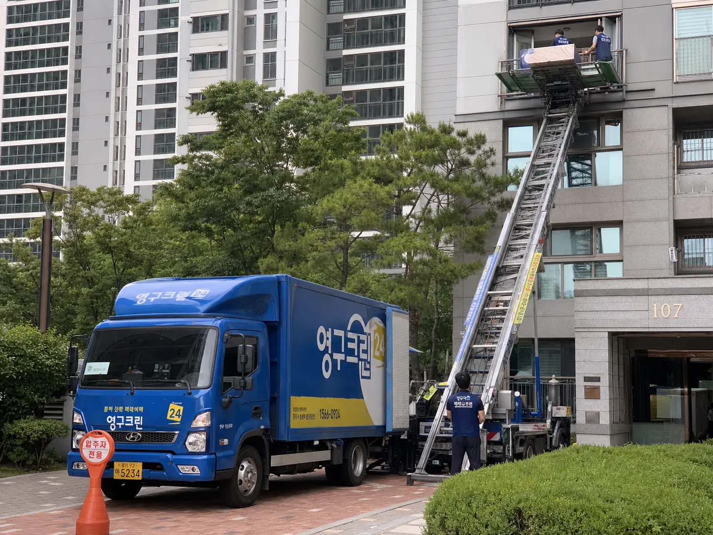 정식업체