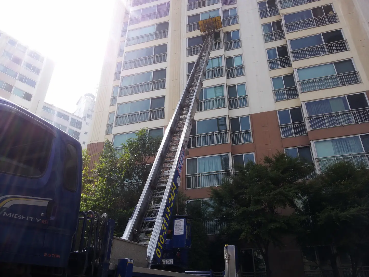 정식업체